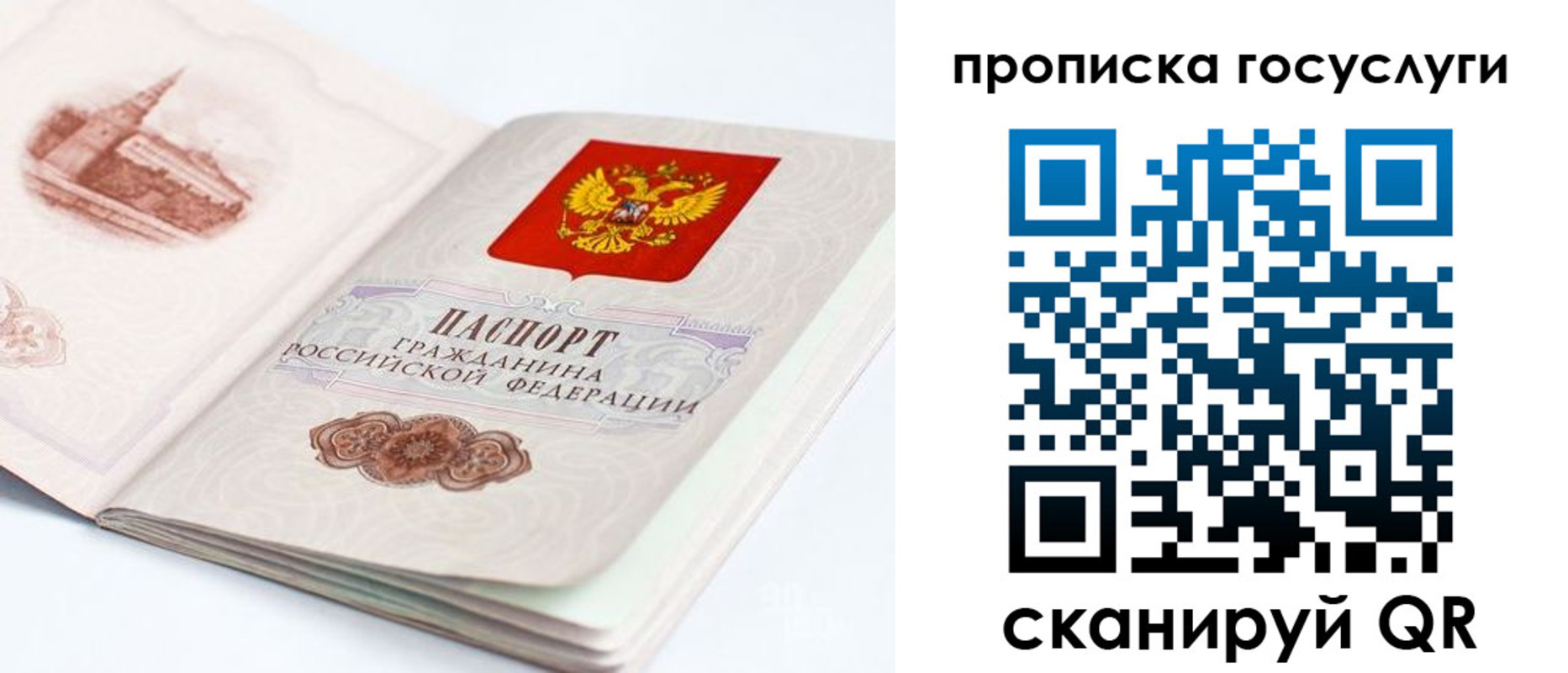 временная регистрация в Александровске-Сахалинском